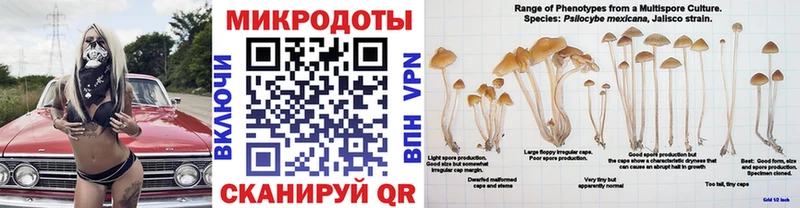 Галлюциногенные грибы MAGIC MUSHROOMS  mega ссылки  Щёлкино 